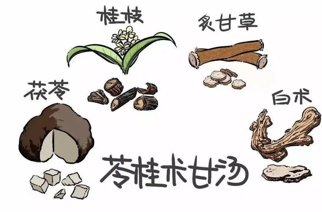 拨云见日打一正确生肖精选解析、解释与落实、详细解答解释落实